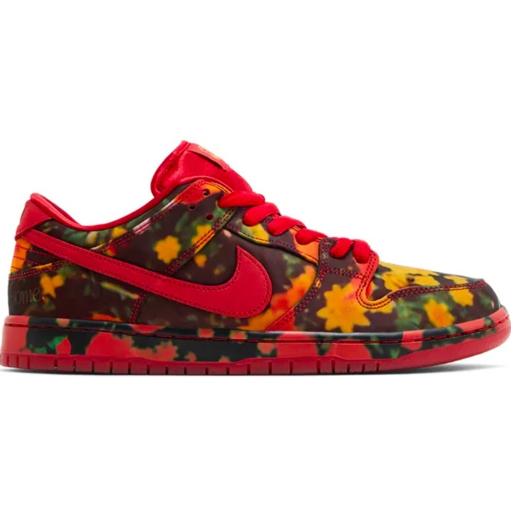 NWT Nike SB Dunk Low Pro Wizard of Oz Edition